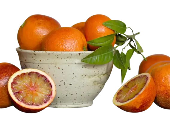 pomarańcze w kamiennej misce