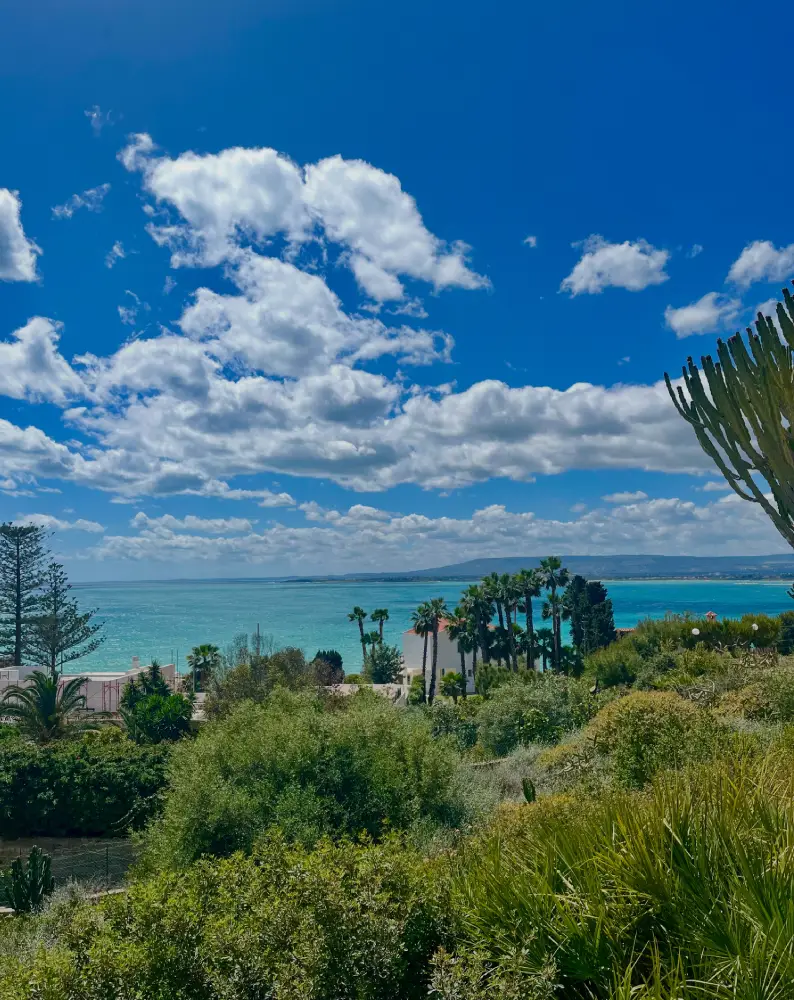 Widok z tarasu Willa Izabela